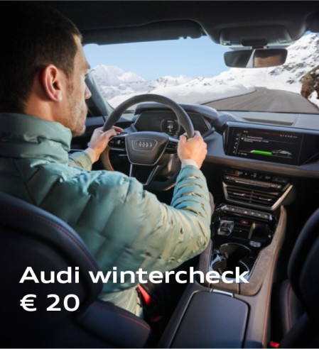 Audi wintercheck € 20